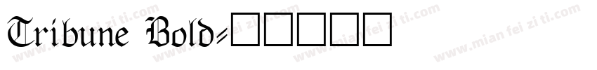 Tribune Bold字体转换